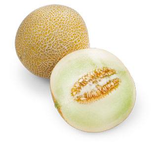 Melonen Galia Stück